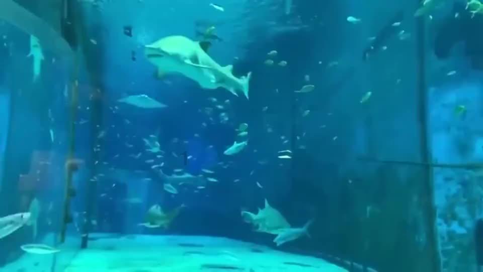 月光影视