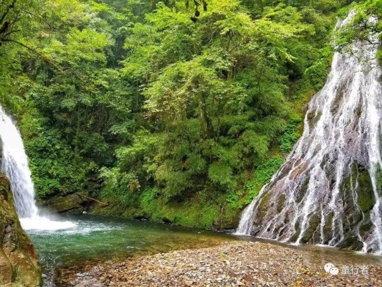 虫虫助手下载