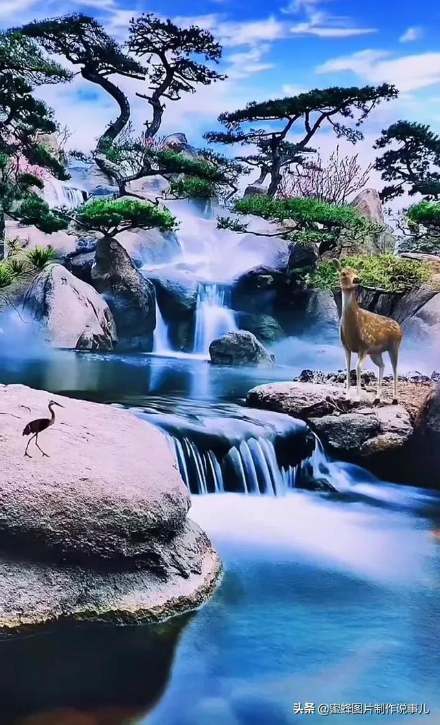 嘉日单词